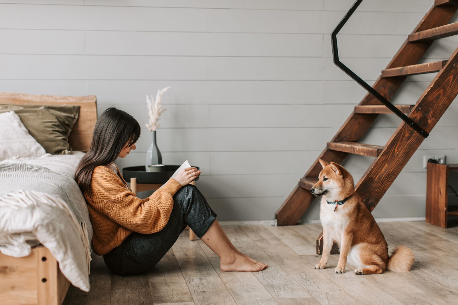 Mujer leyendo con un perro durante un encargo de house sitting